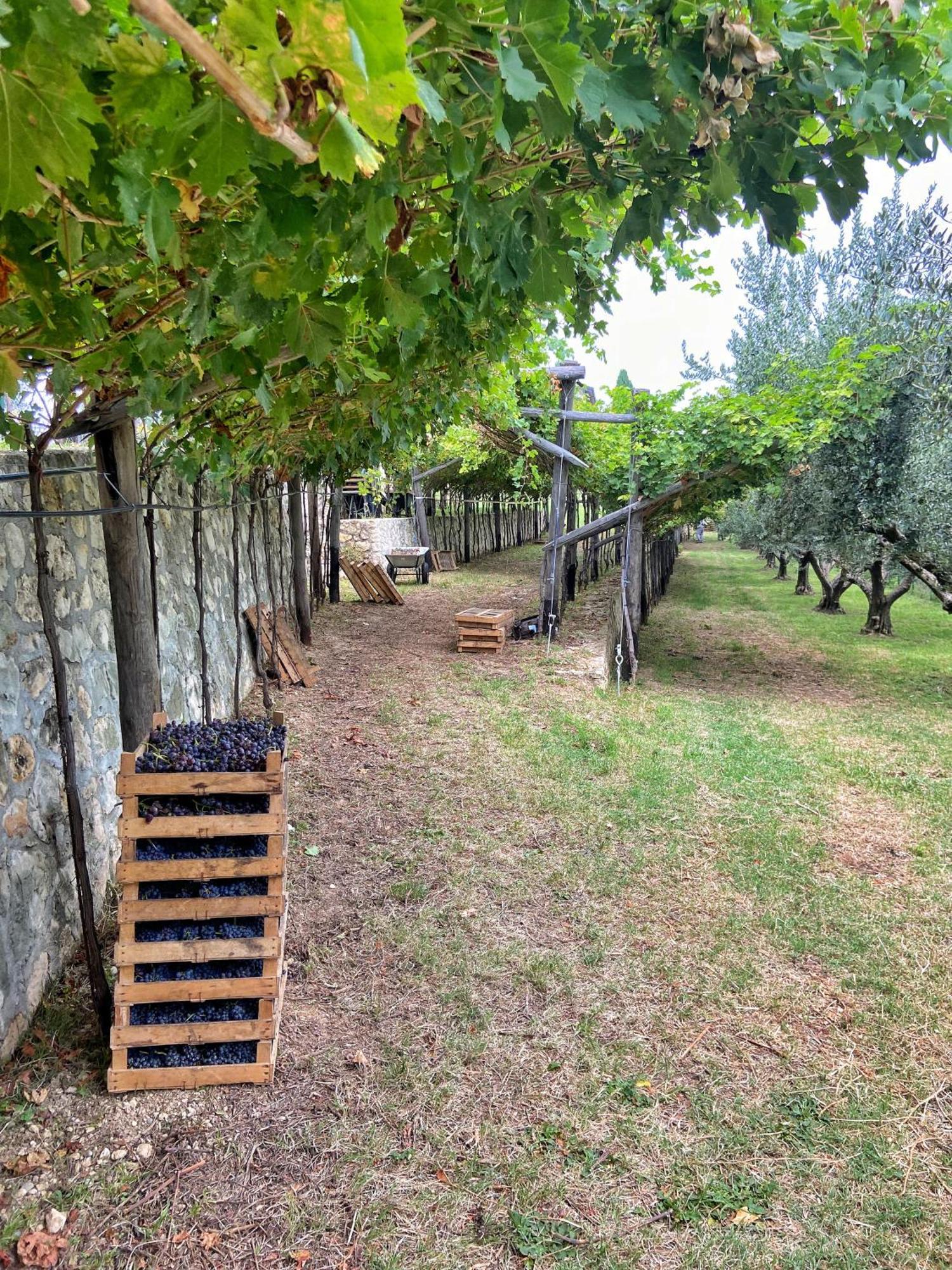 La Vineria Di San Mattia Villa Verona Exterior photo